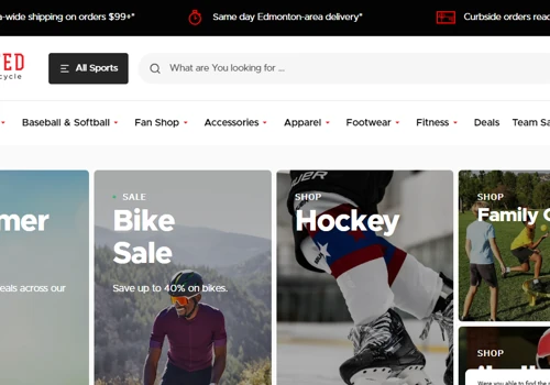 Ecommerce Website Creation