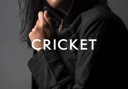 Cricket Fashion - Branding