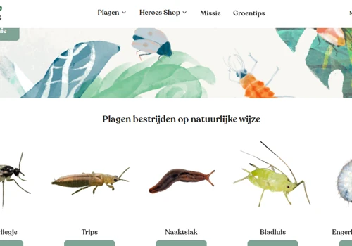 Ecommerce Website Modification