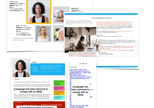 CUSTOMER RESEARCH - SMALL BUSINESS OWNER IN THE US