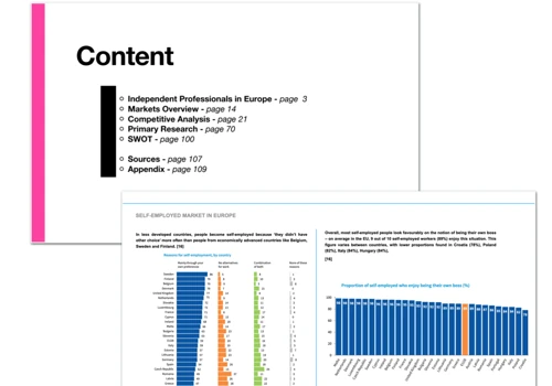 PRODUCTIVITY TOOL FOR INDEPENDENT PROFESSIONALS