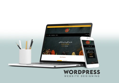 Zaaiqay Website Design