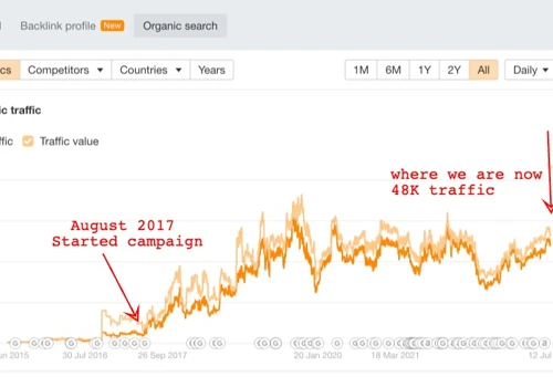 434% Increase in Organic Traffic For Fiddlershop