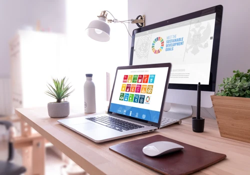 Official United Nations in Montenegro website