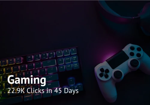 SEO for a Gaming Platform
