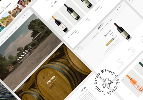 E-commerce Redesign & SEO Optimization for Assaf
