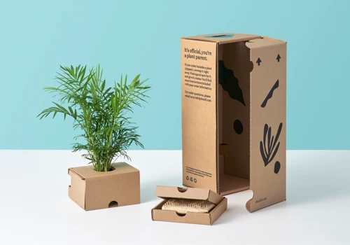 The Sill Sustainable Packaging