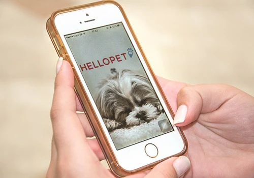 APP HELLOPET