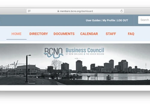 BCNO website design and development