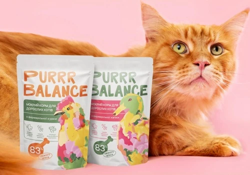 Purrr Balance