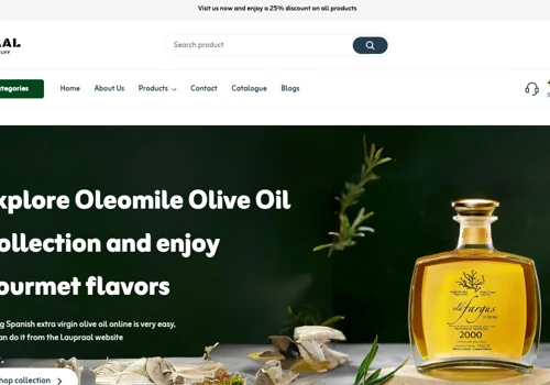 E-commerce Development & Management