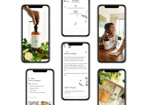E-commerce website