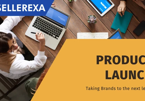 Product Launch & PPC Optimization