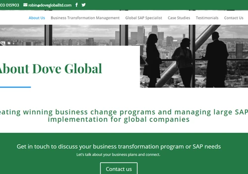 SAP consultancy
