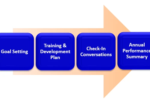 Performance Management Process