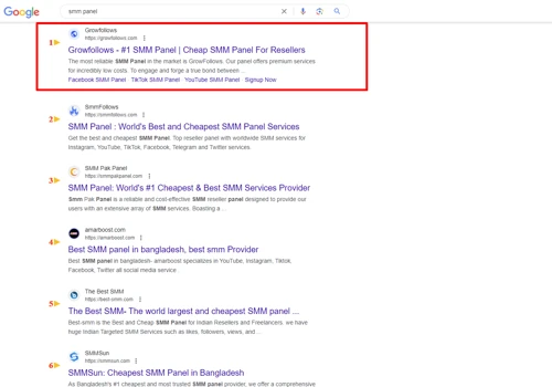 Rank #1 for the Keyword "SMM Panel" in USA