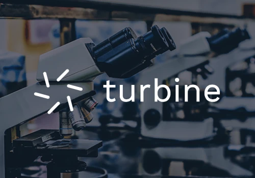 Website development for turbine.ai