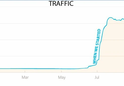 We increased traffic to our clients site by 1,484.38% and increased revenue by 240%.