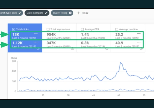 1,255% increase in non branded traffic for client.