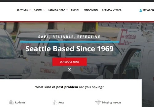 Website Design - Wordpress, SEO, and PPC Marketing