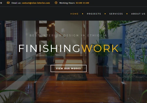 Website development
