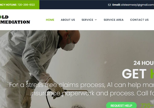 A1 Mold Remediation - Damage Restoration Service