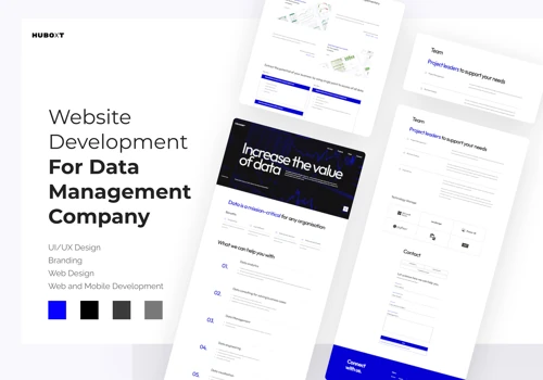 Website development for Data Management Company