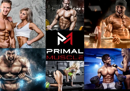 How we increased Primal Muscle’s ROAS nearly 60%