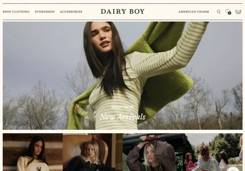 Dairy Boy Custom Shopify Website