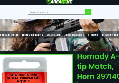 Web Development for Gun & Accessories Store
