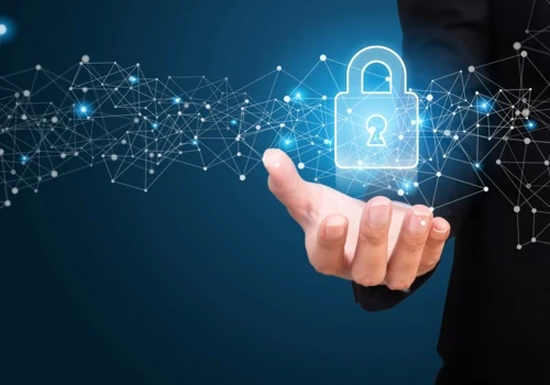 Co-Managed Services