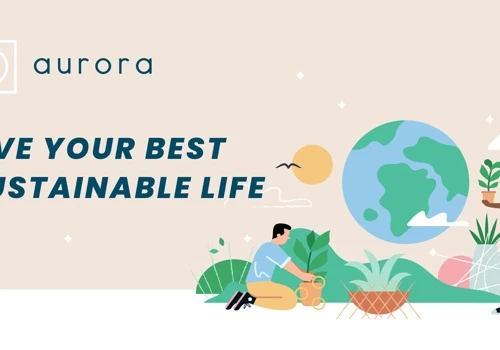 Custom Software for Environmental Sustainability