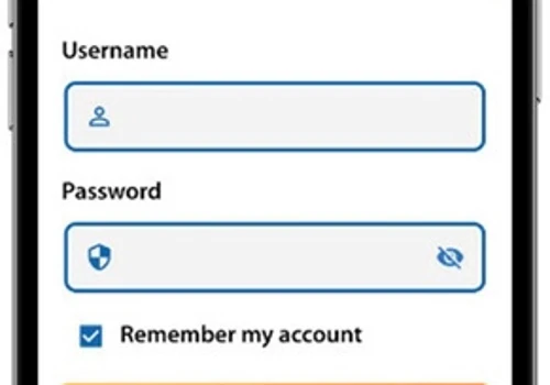 VIB - Advanced Financial Reporting System