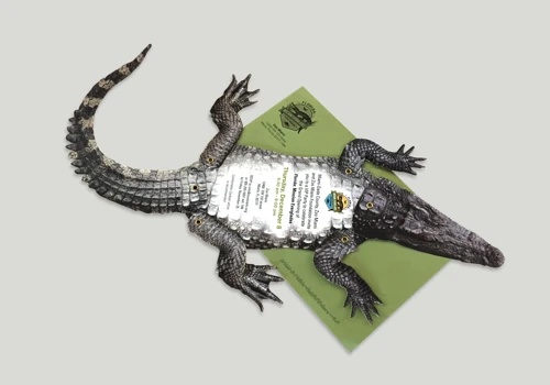 Zoo Miami, Florida: Mission Everglades Invitation