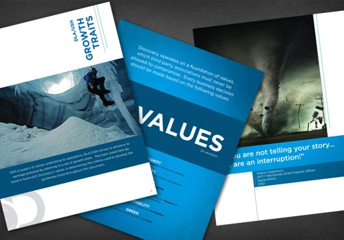 Discovery Solutions Guidelines Product Integration Brochure