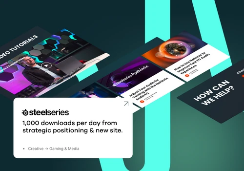 SteelSeries- Campaign case study
