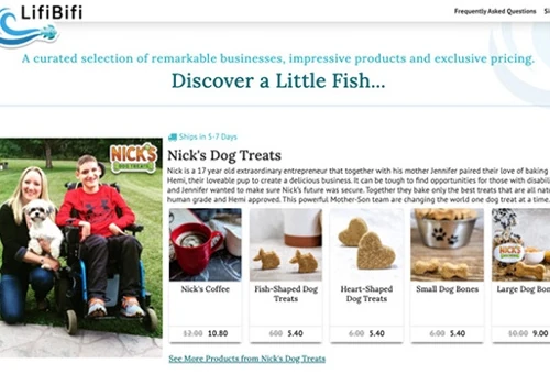 Product Promotional Website