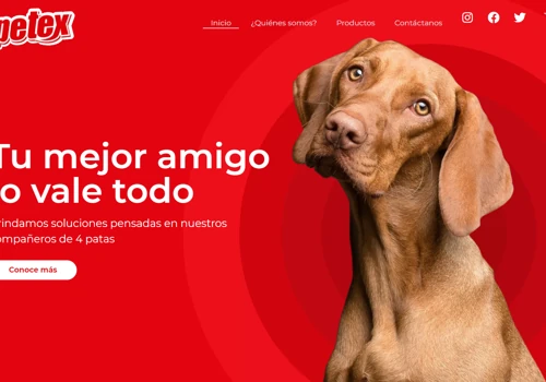 Petex.com.co