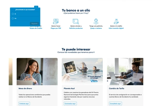 Web Development