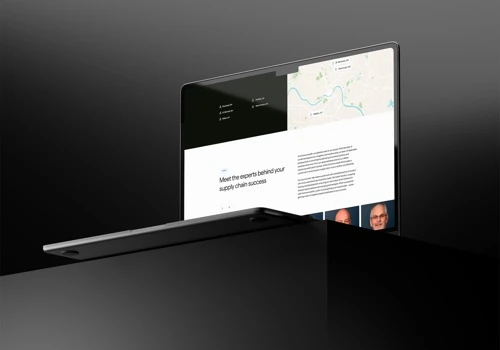 A 200% ROI just 3 days after website relaunch