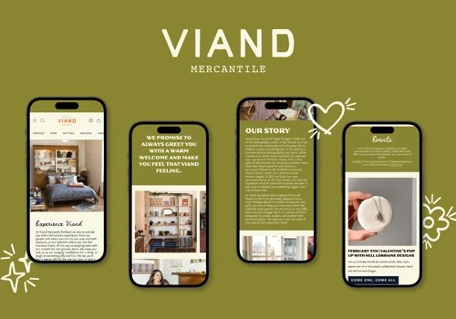Ecommerce Development for Funky Homegoods Boutique