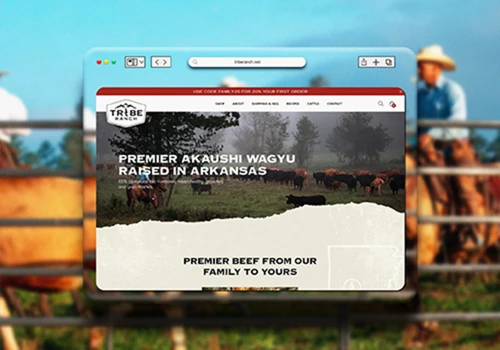 Tribe Ranch Website Build