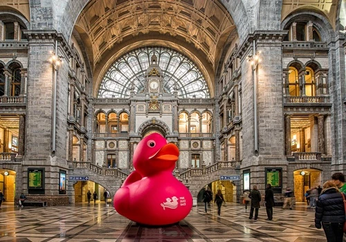 Awareness Campaign - Pink Duck Race