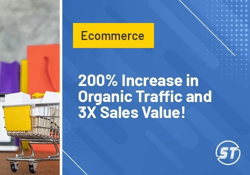 Ecommerce Development and SEO