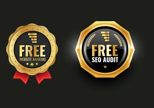 FREE SEO AUDIT & WEBSITE RANKING NOW!!!!