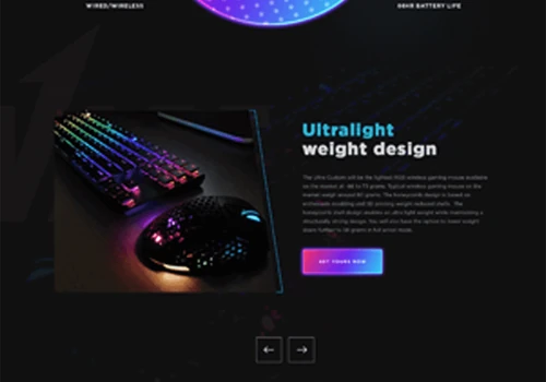 Wireless Gaming Mouse