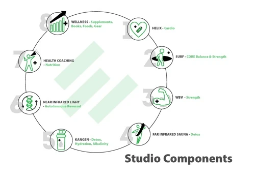 Marketing Plan for The Vibe Fitness Studio