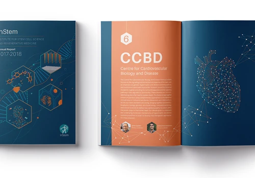 inStem Annual Report