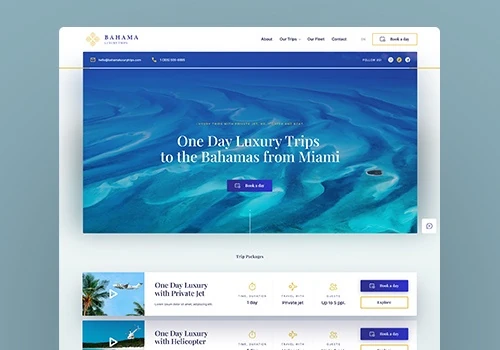 Bahama Luxury Trips's brand & website