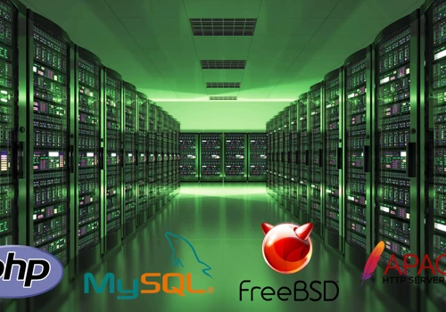 High-performance shared hosting